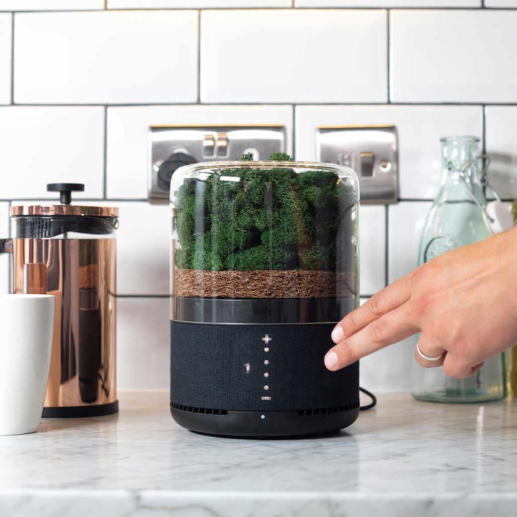 Briiv Air Purifier
